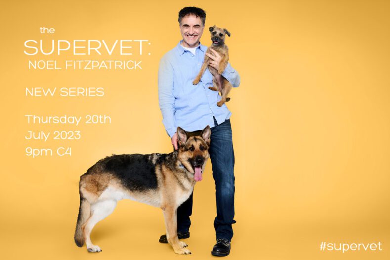 Professor Noel Fitzpatrick with German Shepherd Dog and Border Terrier