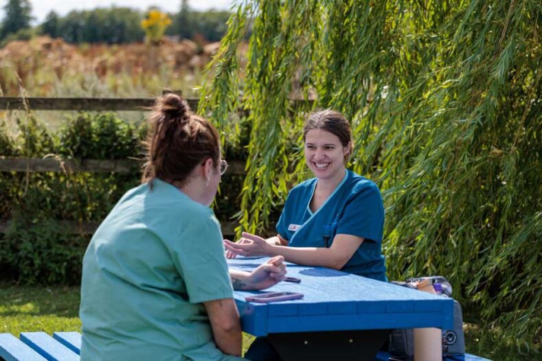 Veterinary staff sitting on recycled picnic bench