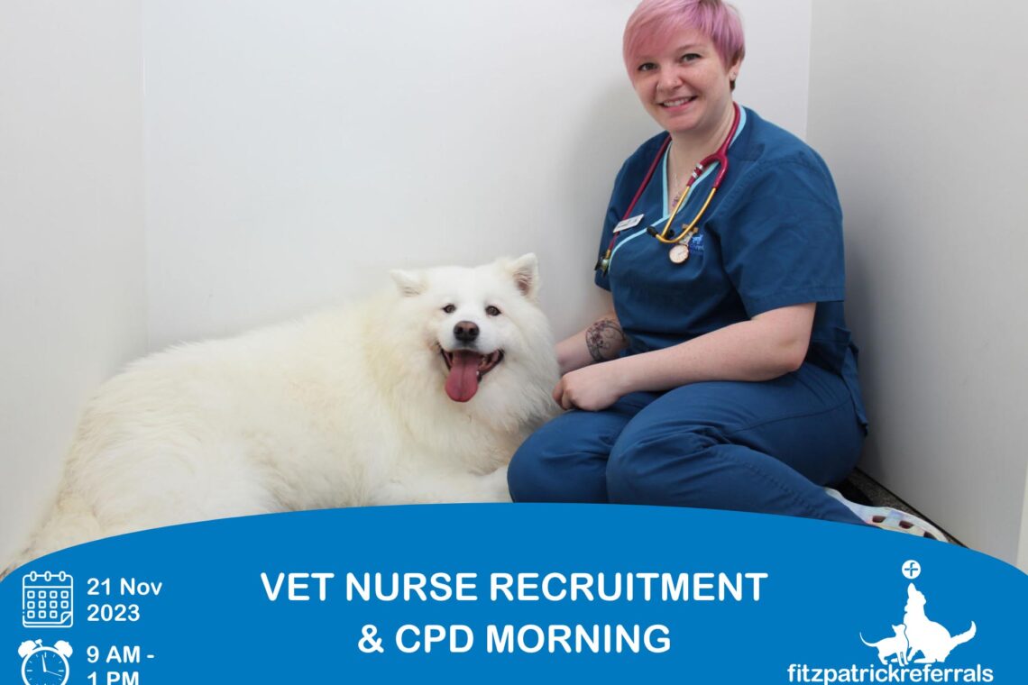 Vet nurse with white samoyed dog in kennel